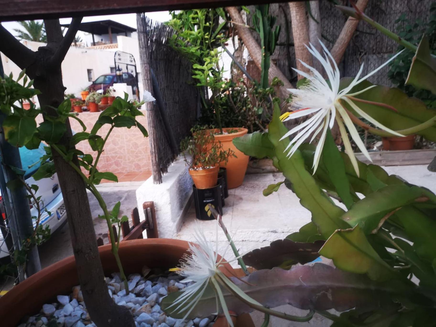 エル・ポソ・デ・ロス・フライレスVivienda Rural En Cabo De Gataアパートメント エクステリア 写真