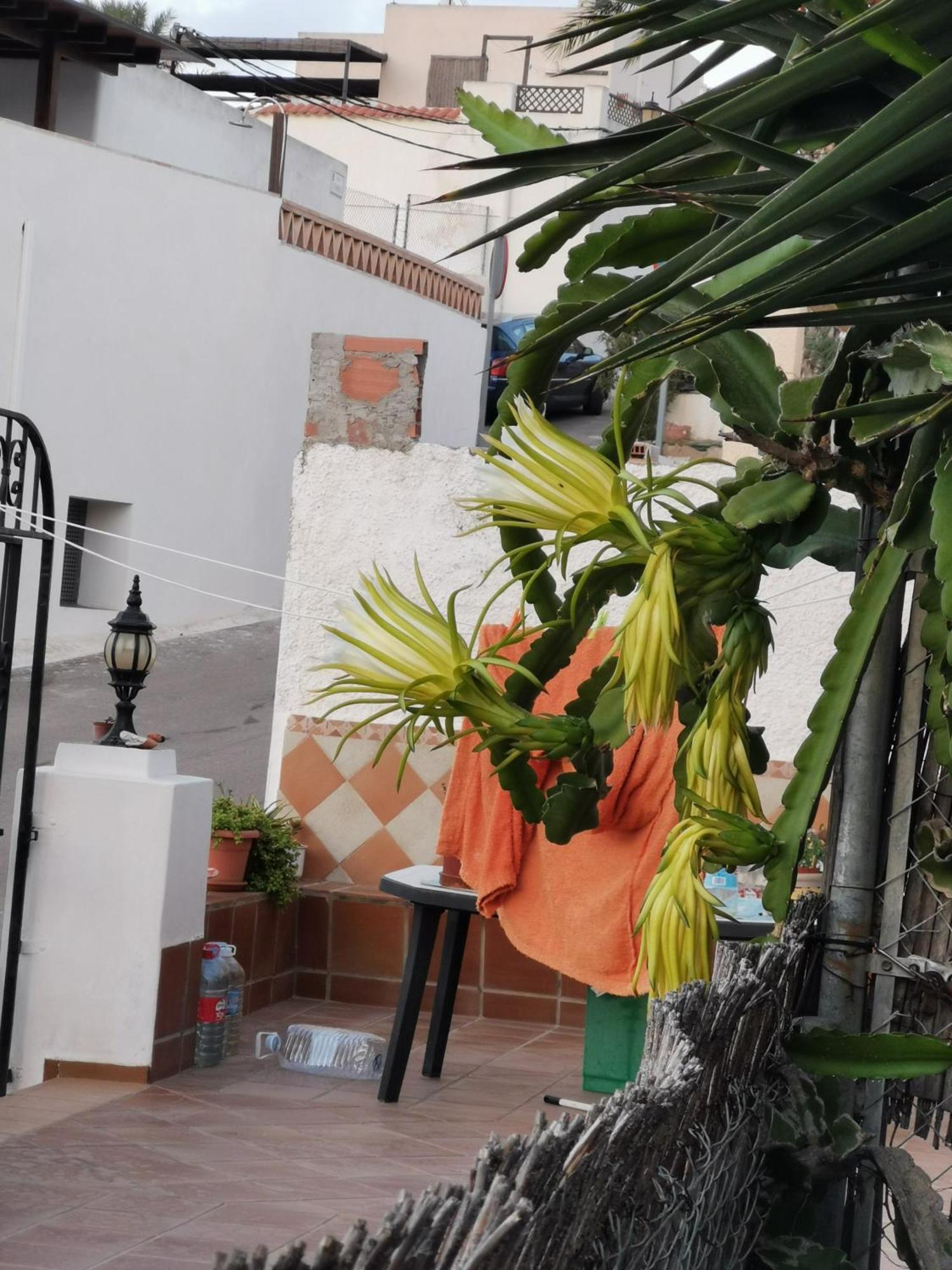 エル・ポソ・デ・ロス・フライレスVivienda Rural En Cabo De Gataアパートメント エクステリア 写真